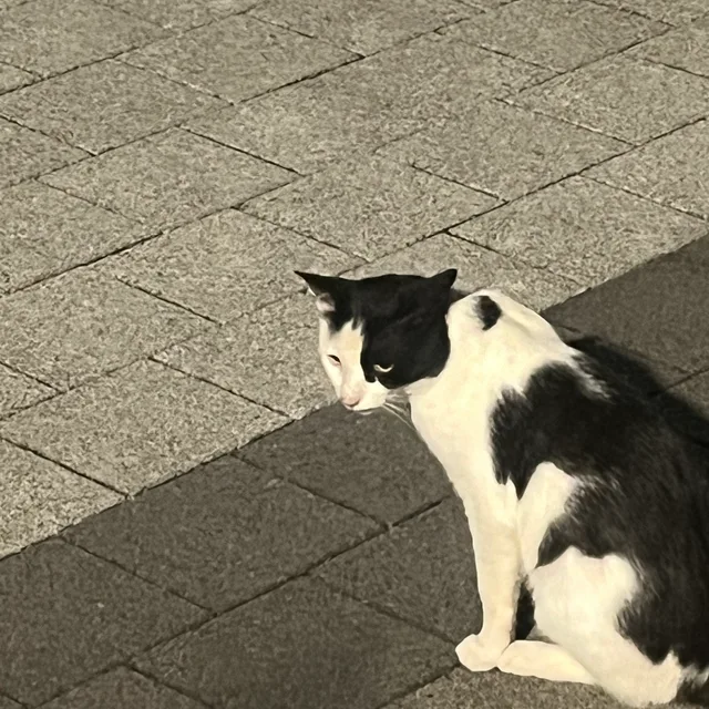 알림먹통