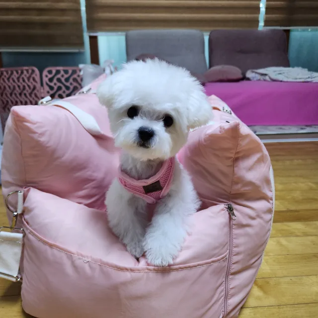 삼계동입니다