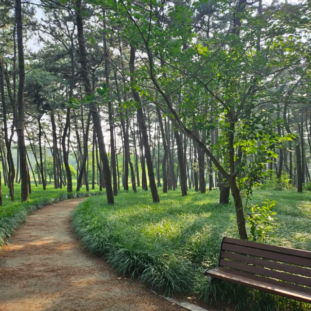 힐링맘