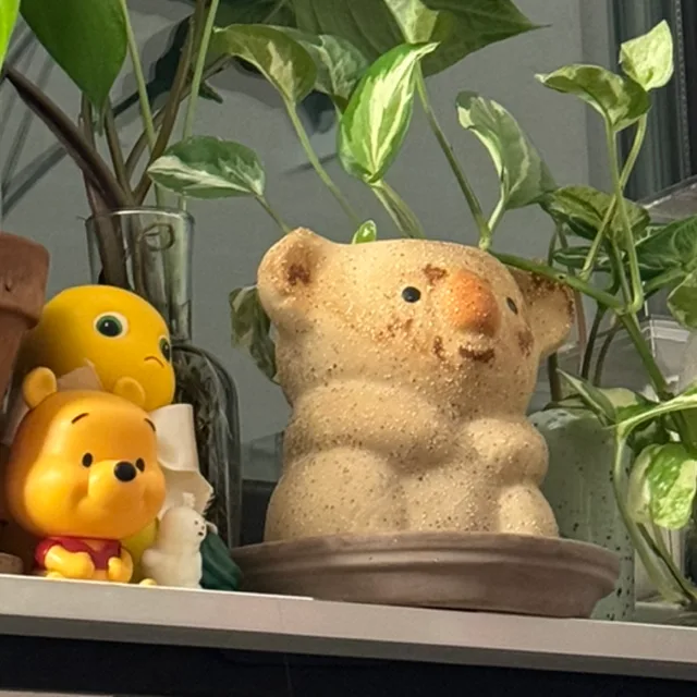 리지