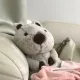 군산상고