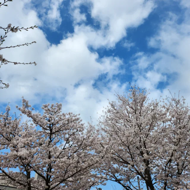 달빛정원