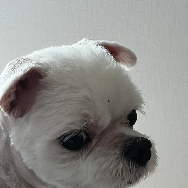 profile