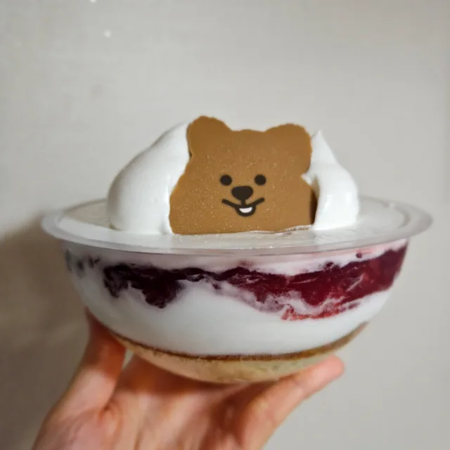 촉코칩