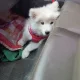 콩순이콩콩