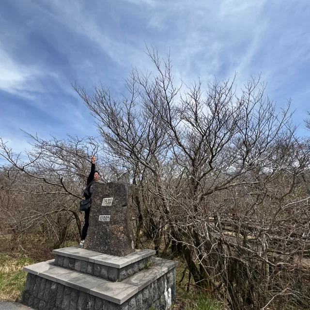 샛별이