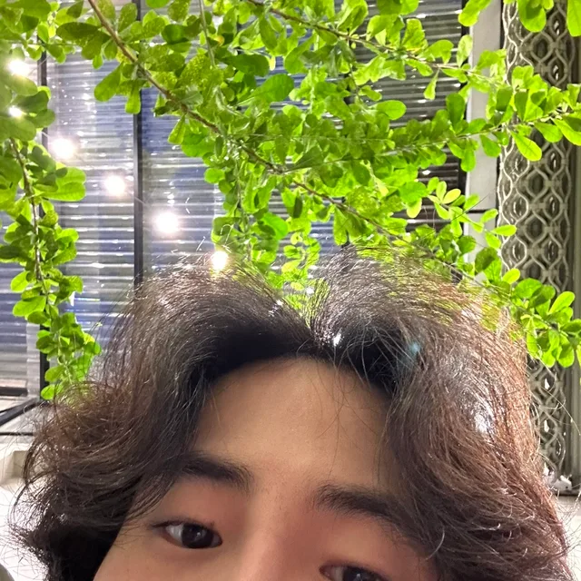 애야애야