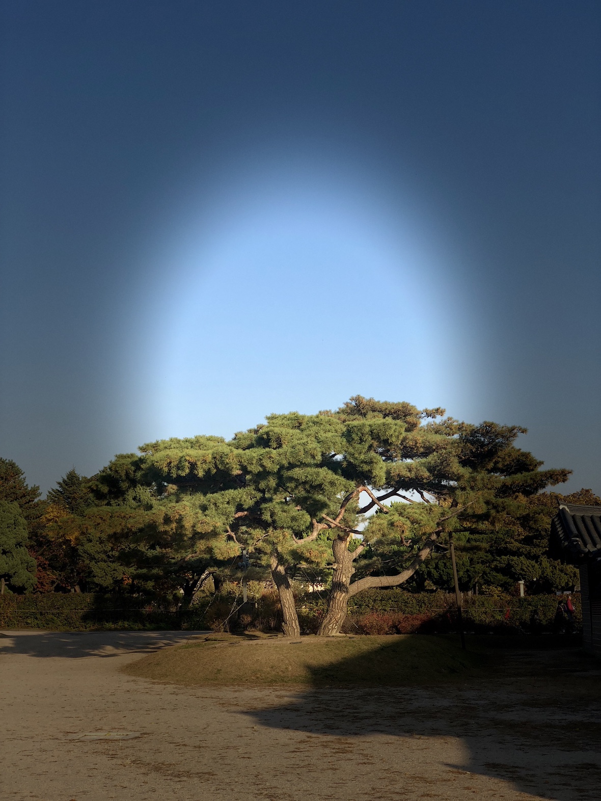 혜화동
