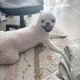 건물주꿈