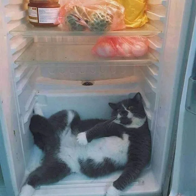 로라라