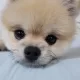 장꾸꾸꾸