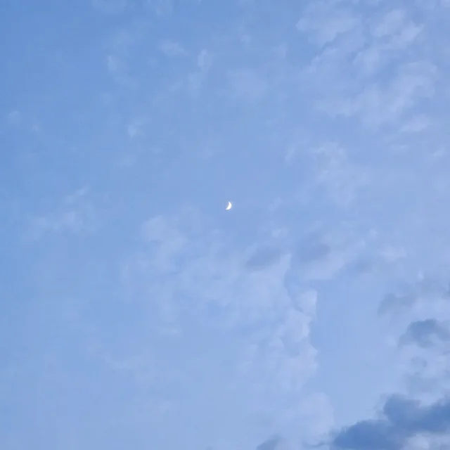 당근홀릭