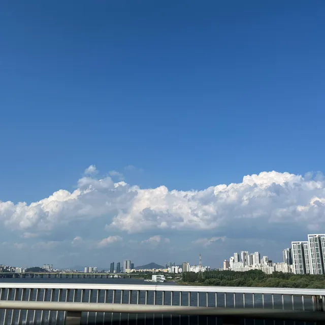 동탄캐럿