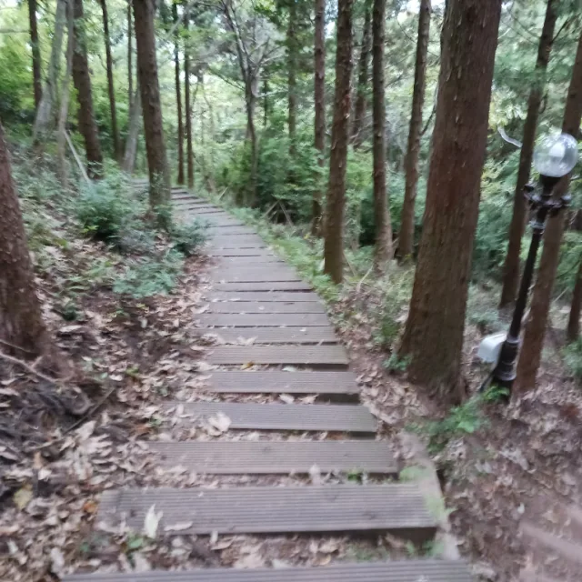 비우는중