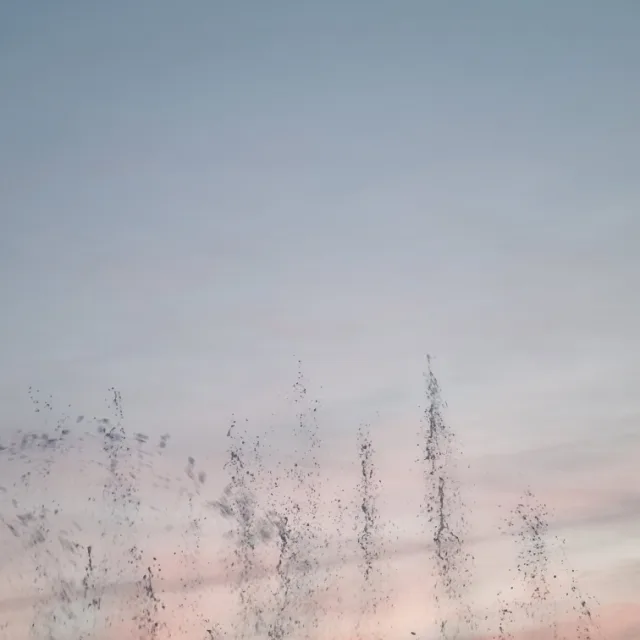 기억의저편