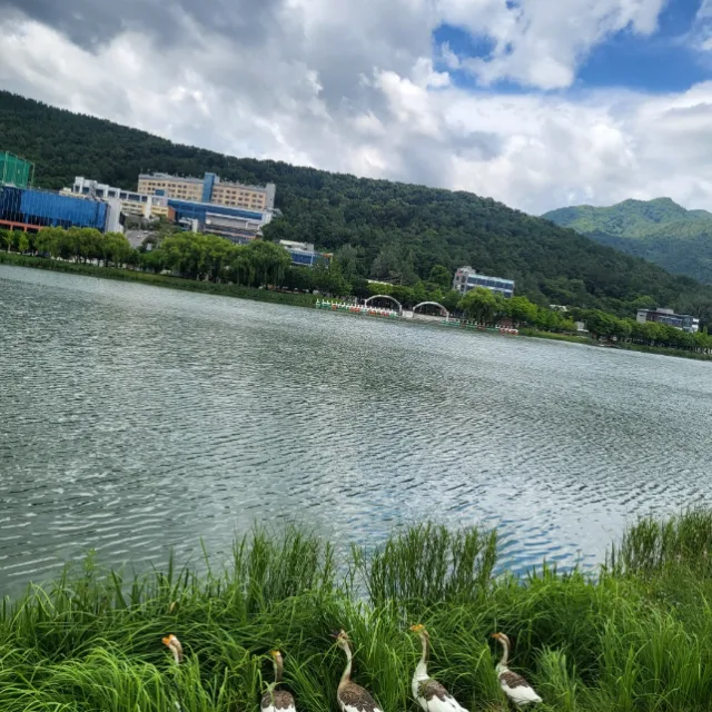 아자아자