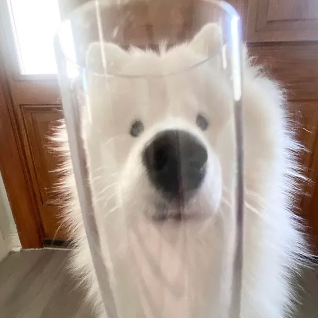 푸팟퐁까리