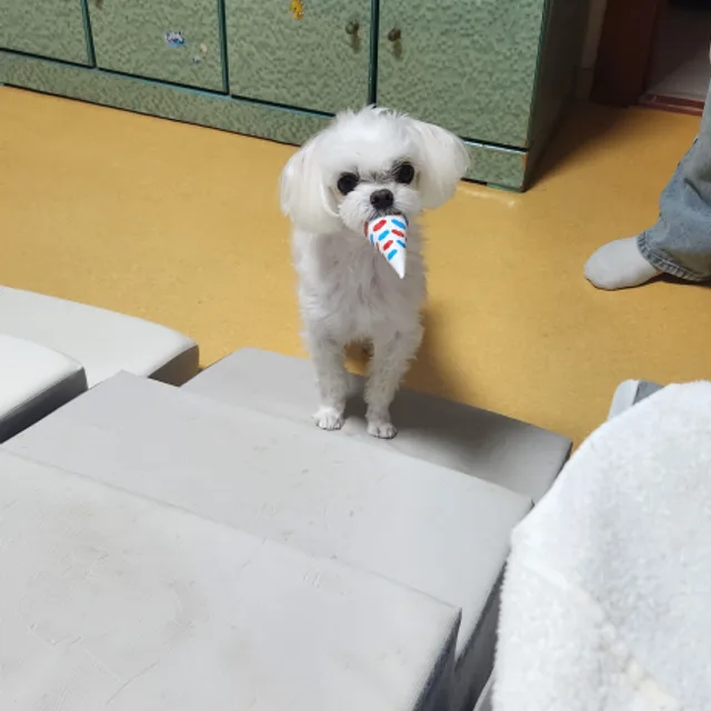 우주