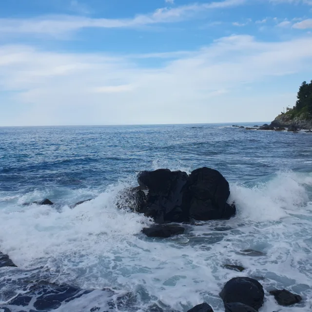 레인보우쵸코