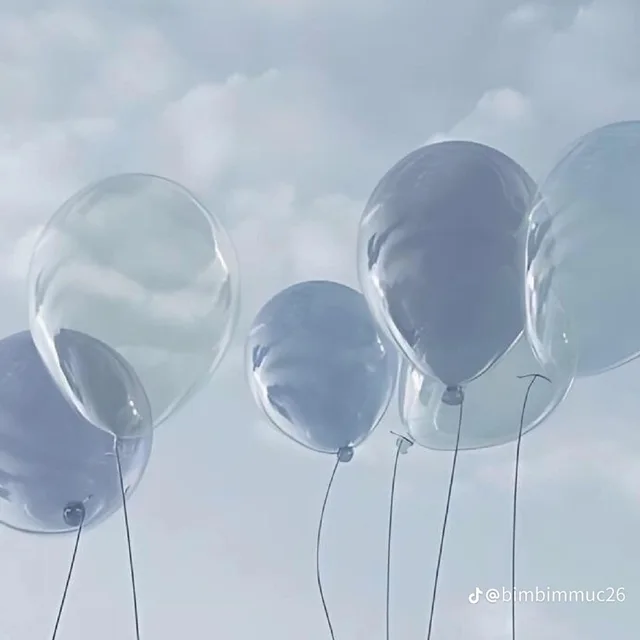 야호