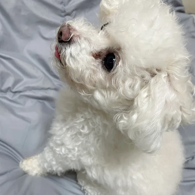 뽐이