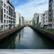 명란젓코난