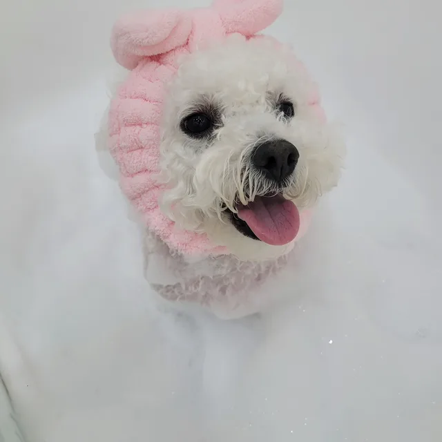 풀향기꽃바람