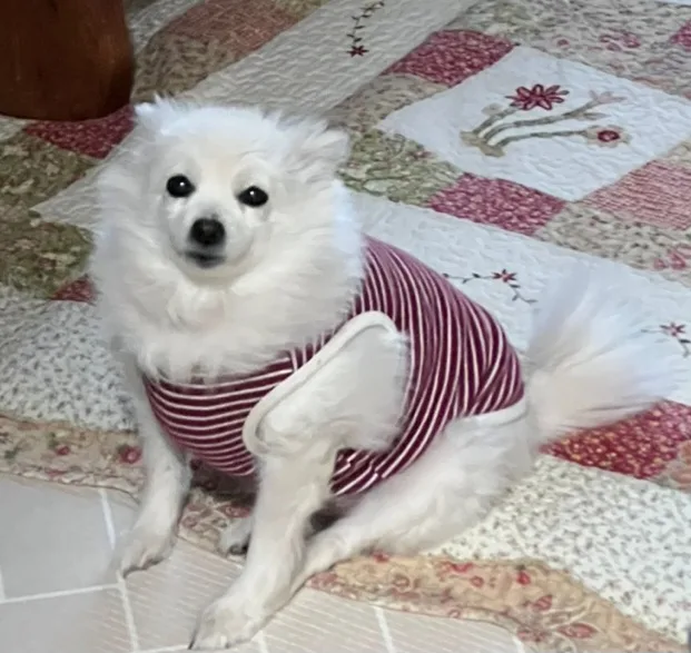 바무