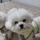살림꾼