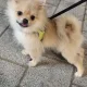 솔직한판매