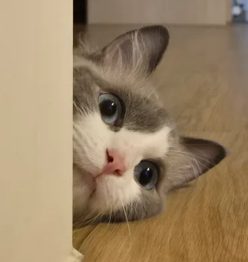 울울