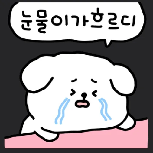 설탕토마토