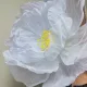 인디고블루
