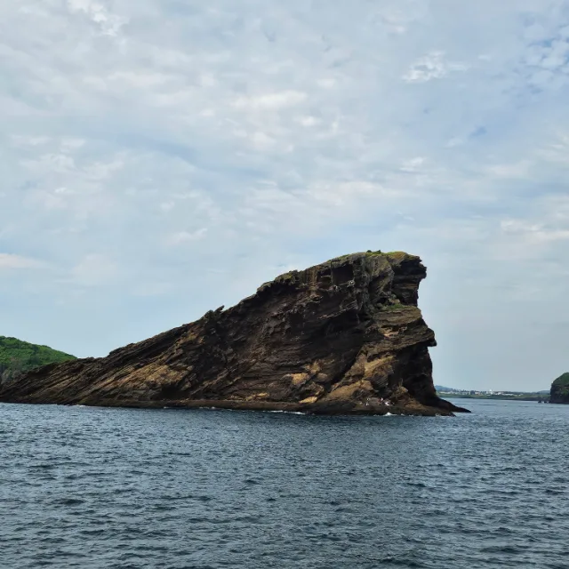하늘보리