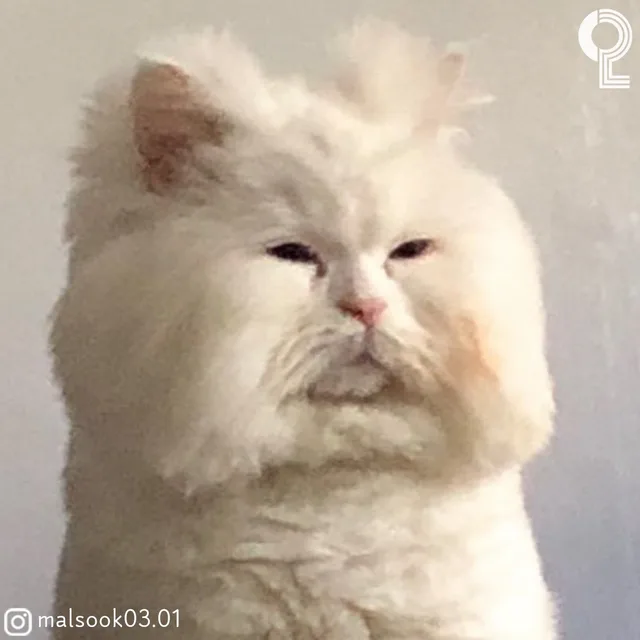 흠냐흠냐