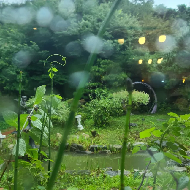 수지