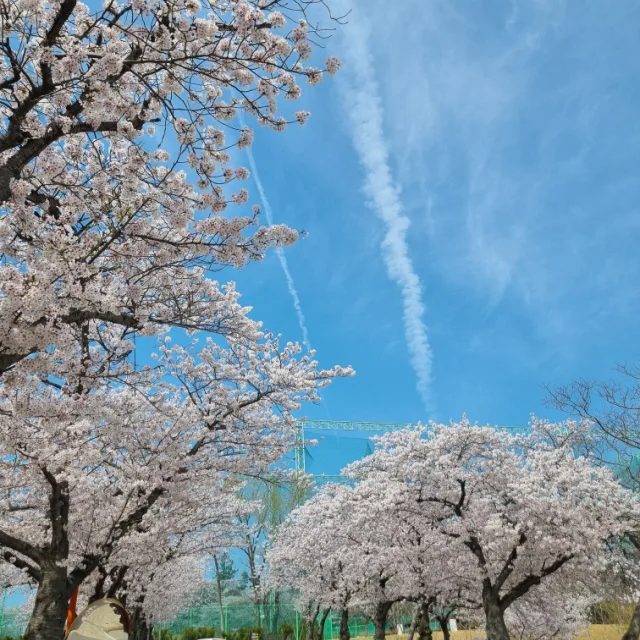 남매맘