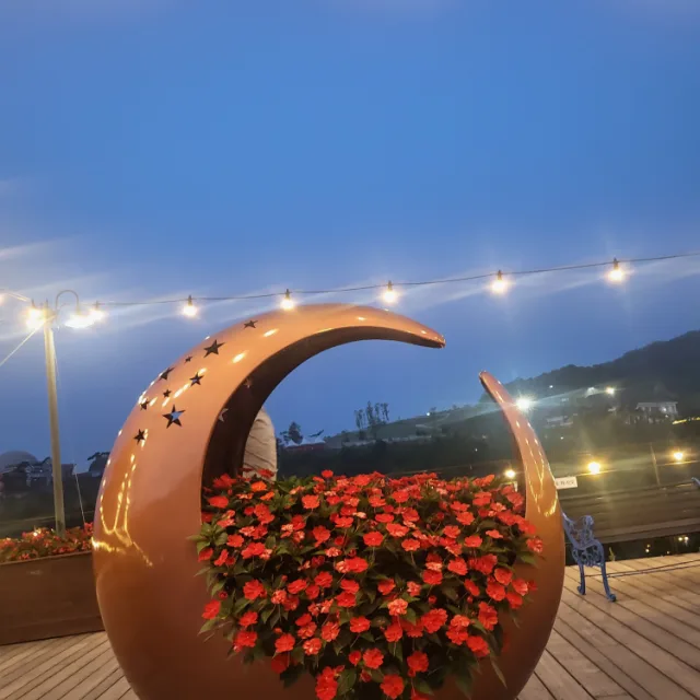 도연