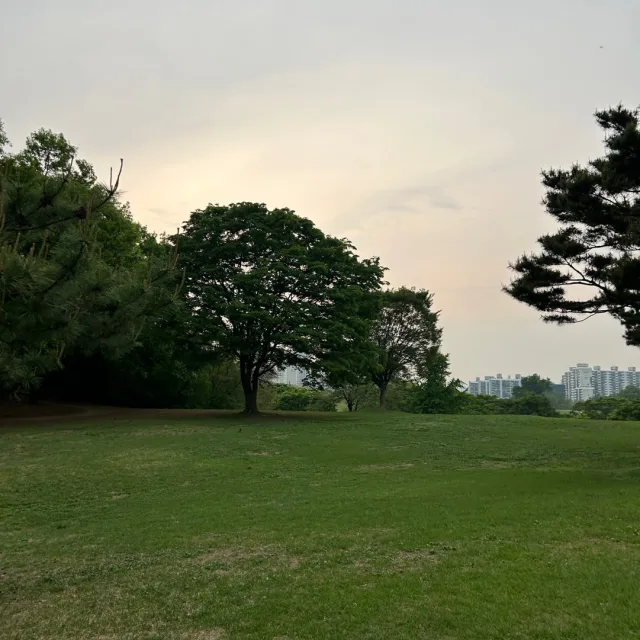 마음