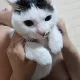 빨간망토차차