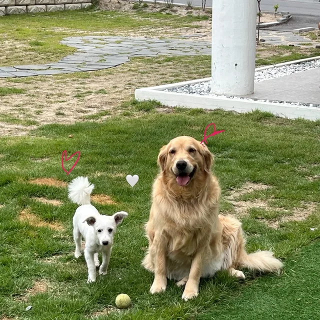 당일직거래
