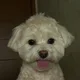 콩이언니