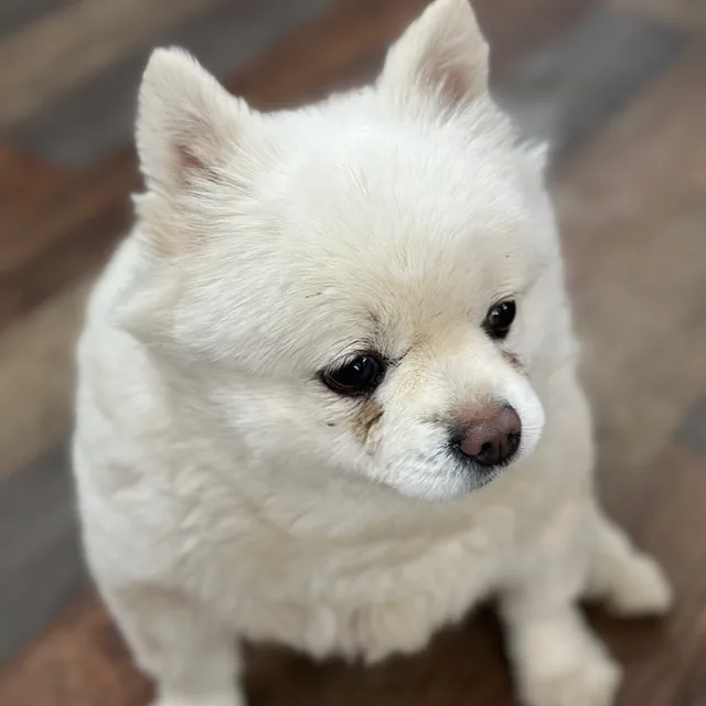 기억