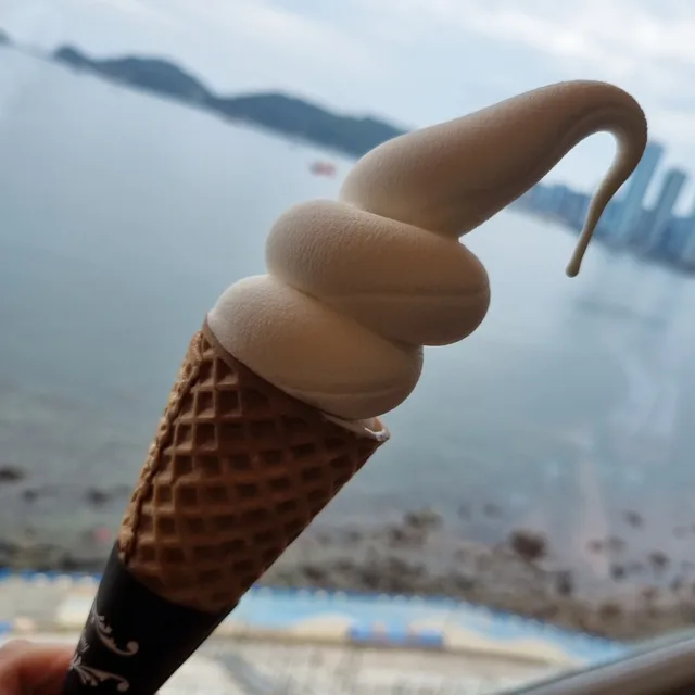 홍이네