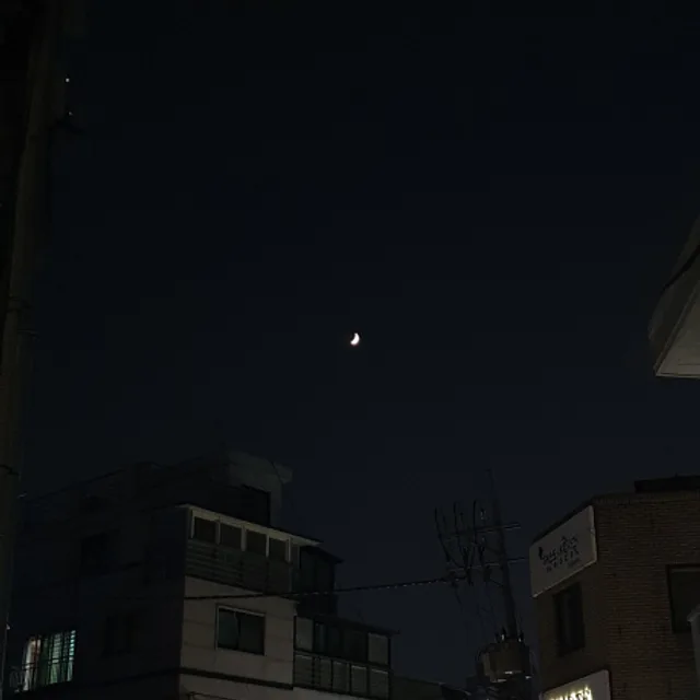 당고