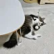 김제이