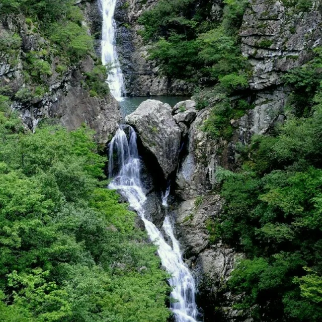 풍운뉨71남