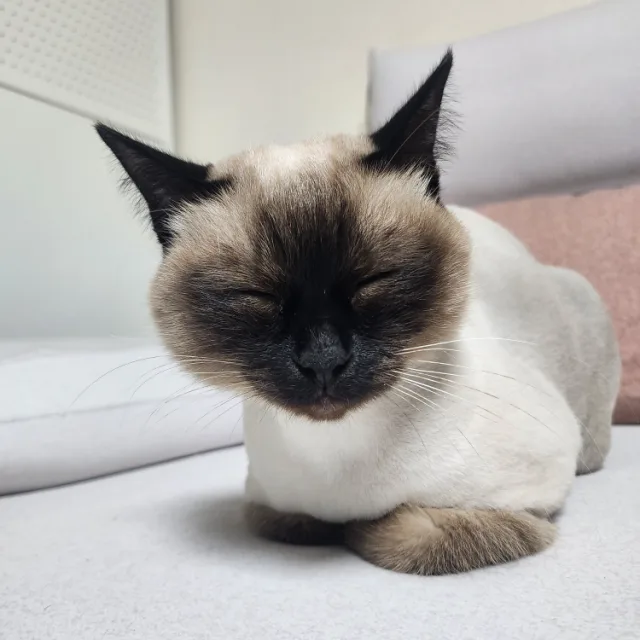 토꿍맘