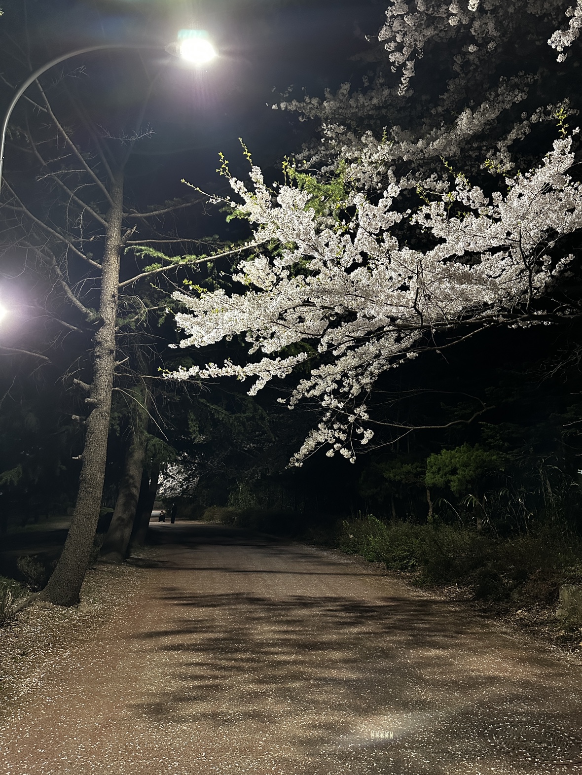 이젠속초사람