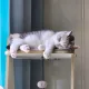 가을